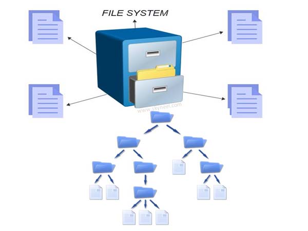 What is File Systems and types