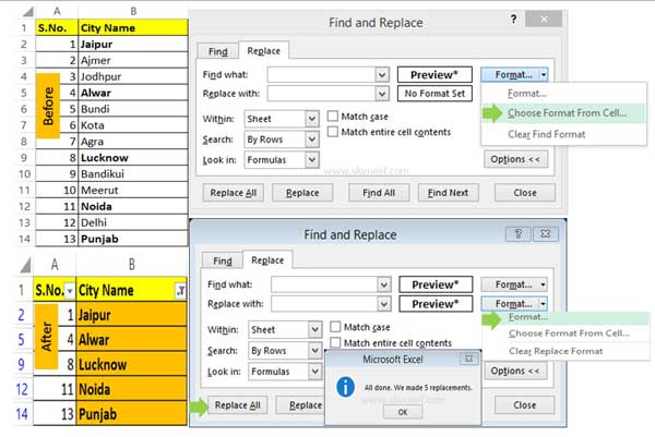 How to Filter Bold Cells Character Formatting in Excel