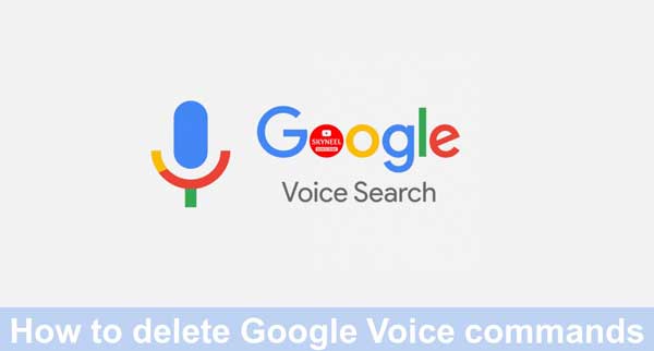 delete Google Voice commands